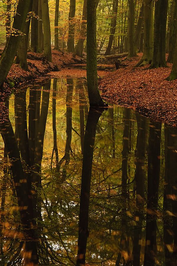 Fotografie