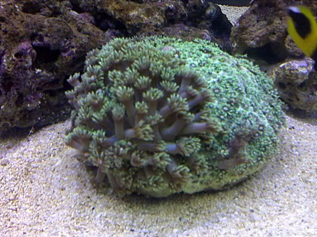 IMG00246.jpg