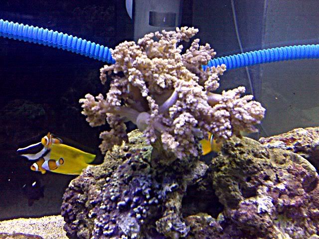 IMG00247.jpg