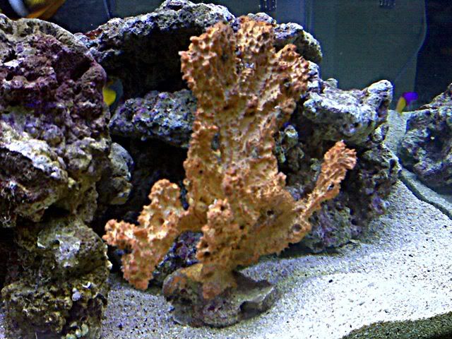 IMG00248.jpg
