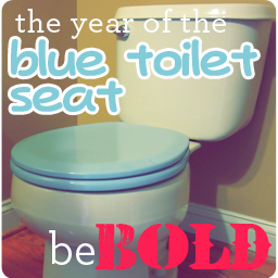 the blue toilet seat