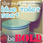 the blue toilet seat