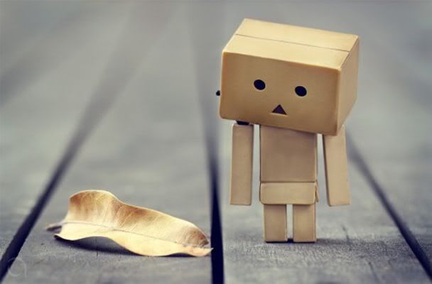 Boneka Danbo cocok untuk photografer 