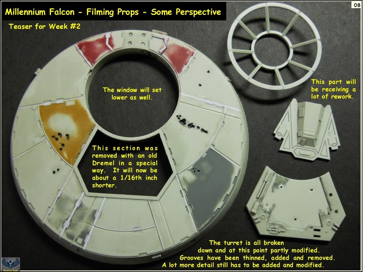 Falcon-018.jpg~original