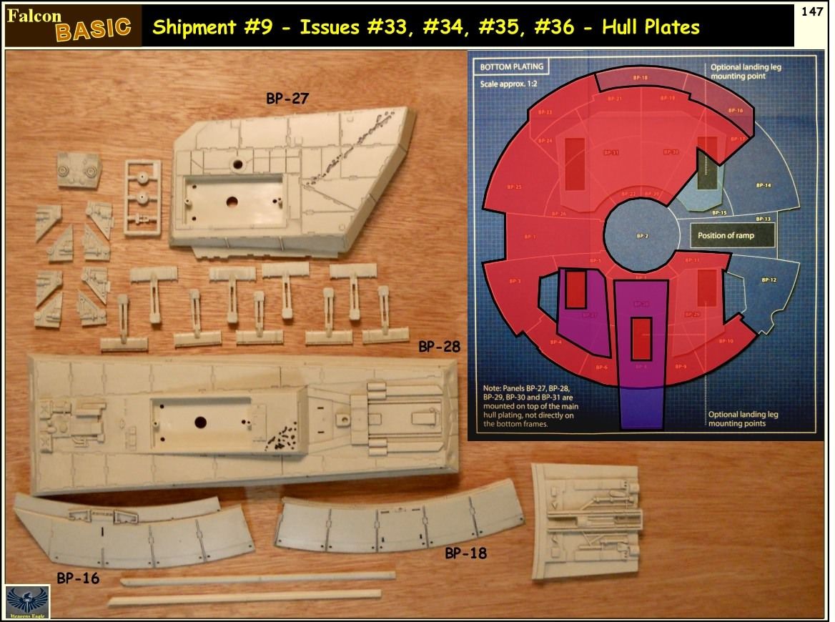 Falcon-Basic-147.jpg~original