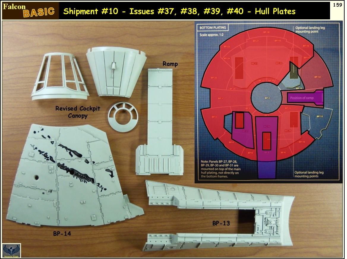 Falcon-Basic-159.jpg~original