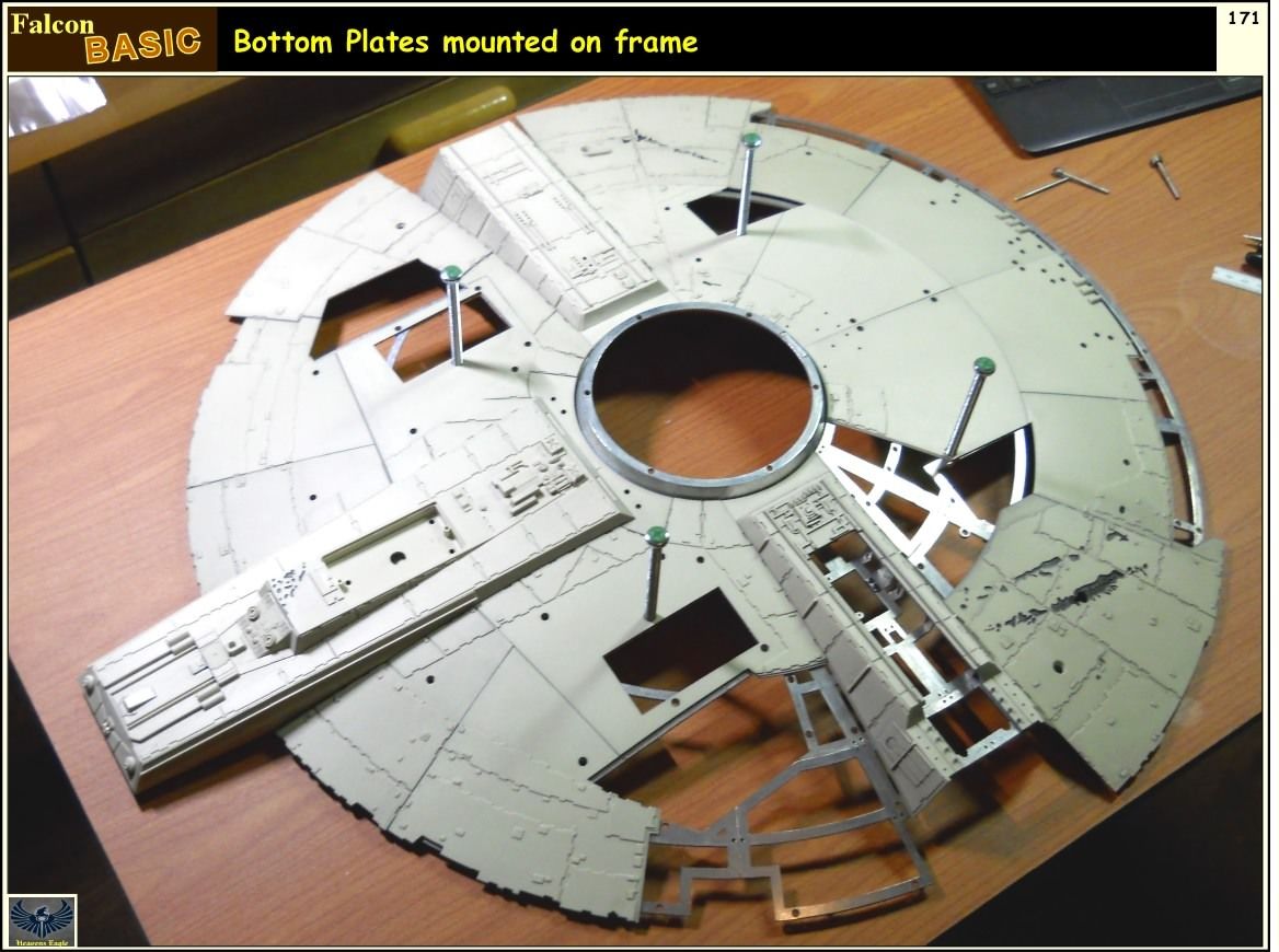 Falcon-Basic-171.jpg~original