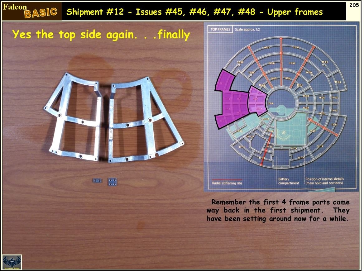 Falcon-Basic-205.jpg~original