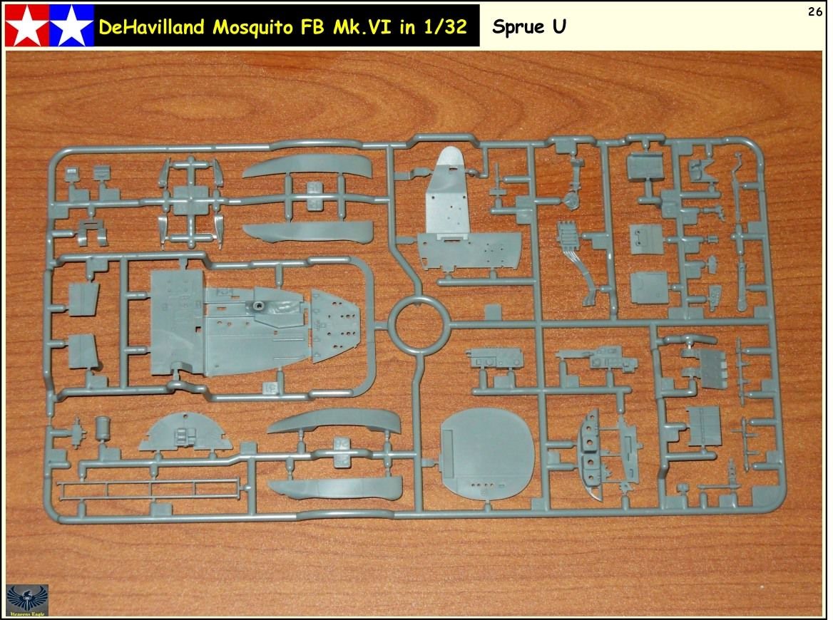 Mosquito-26.jpg%7Eoriginal