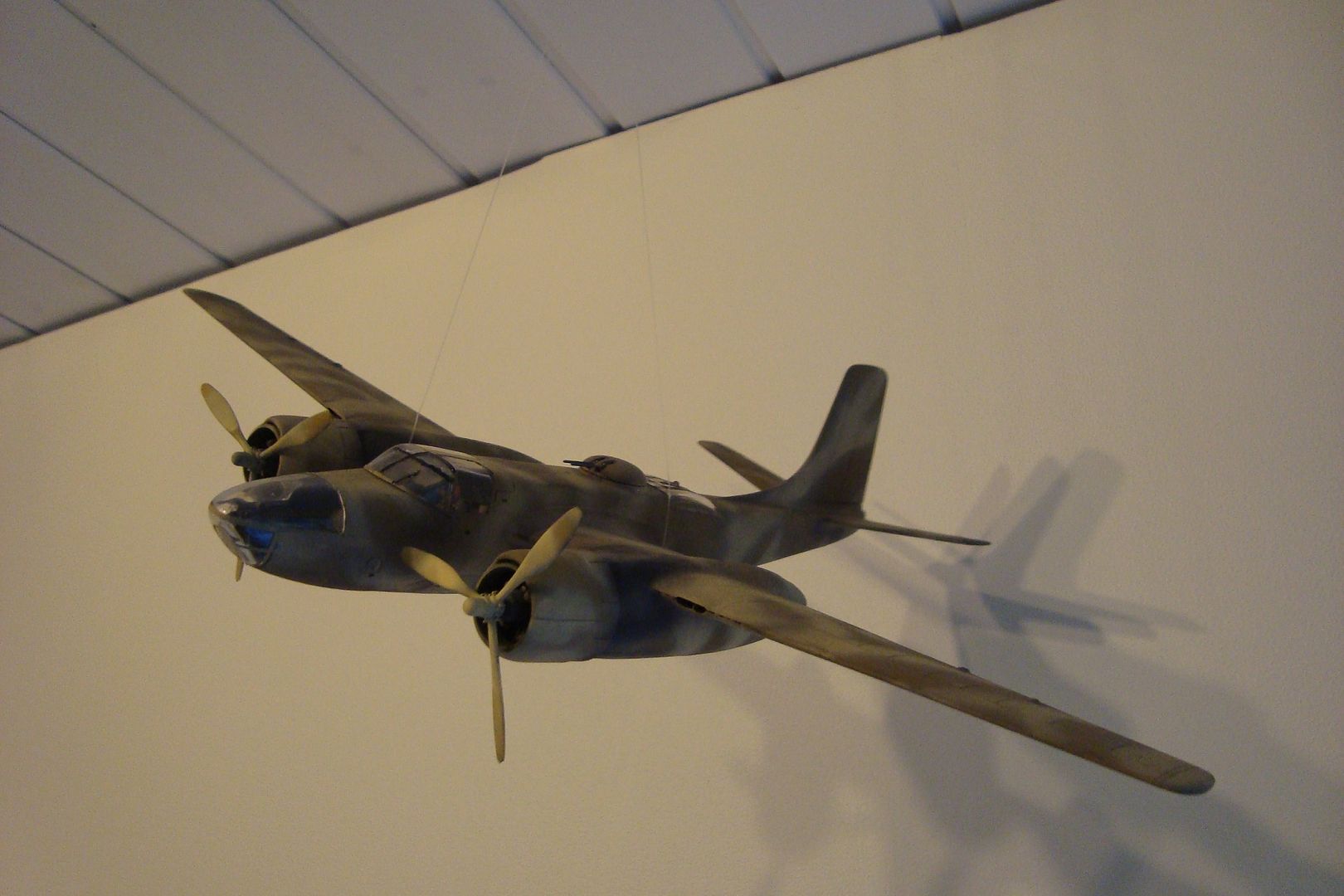 DSC09030_zps7f08de6e.jpg