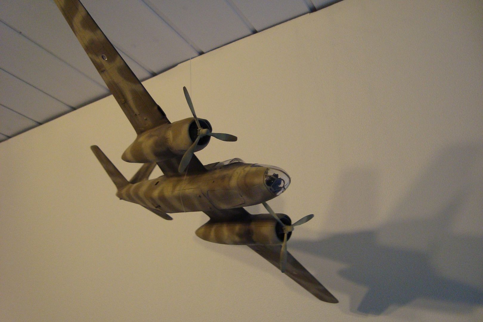 DSC09032_zpsb08c86ef.jpg