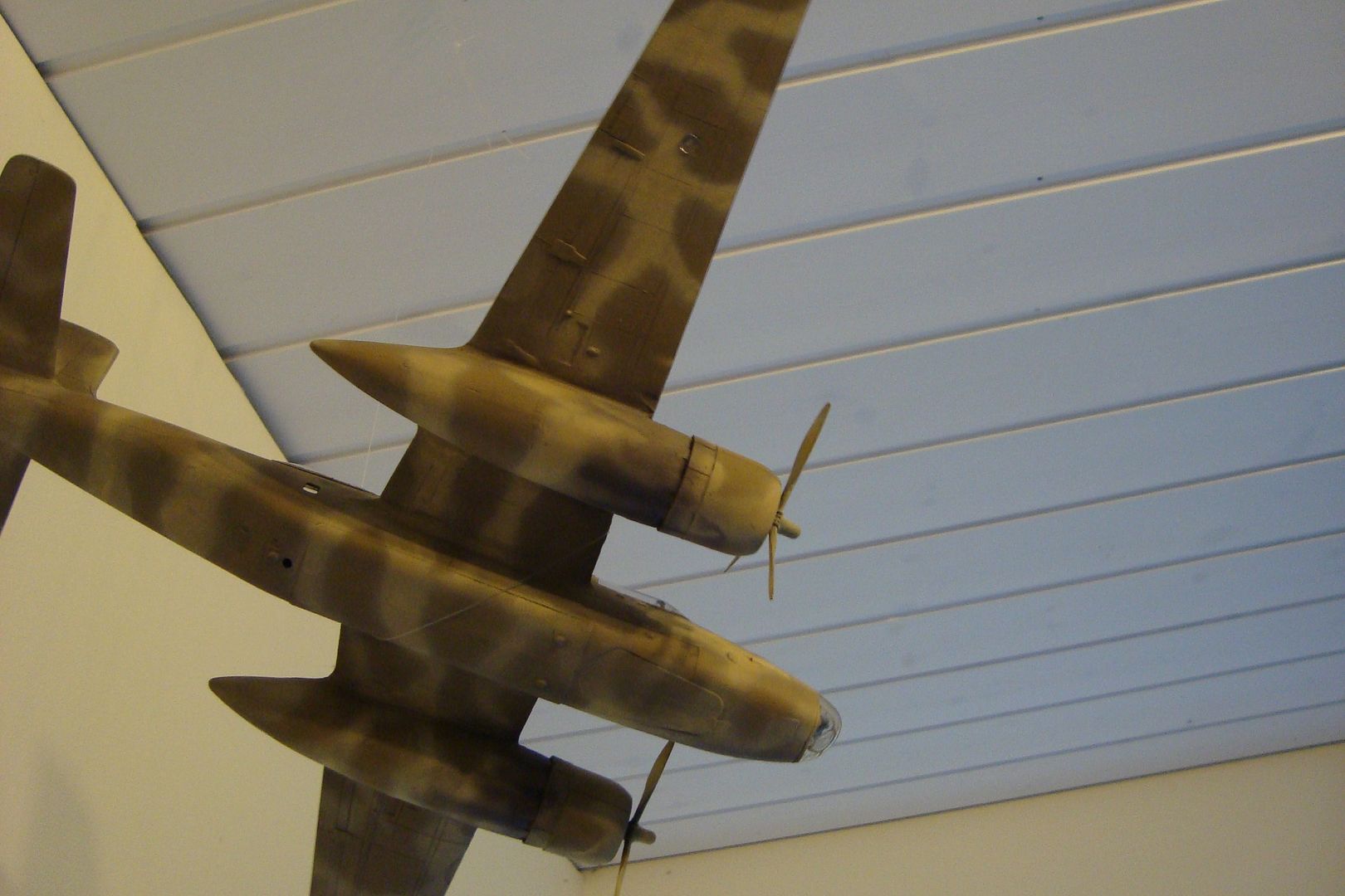 DSC09036_zpsdb1c3d03.jpg