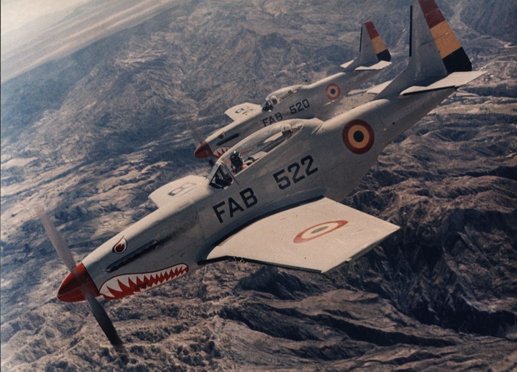 FAB-10b-1.jpg
