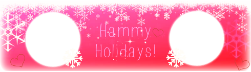 snowflake-banner_op_800x230_zps5e279de7.