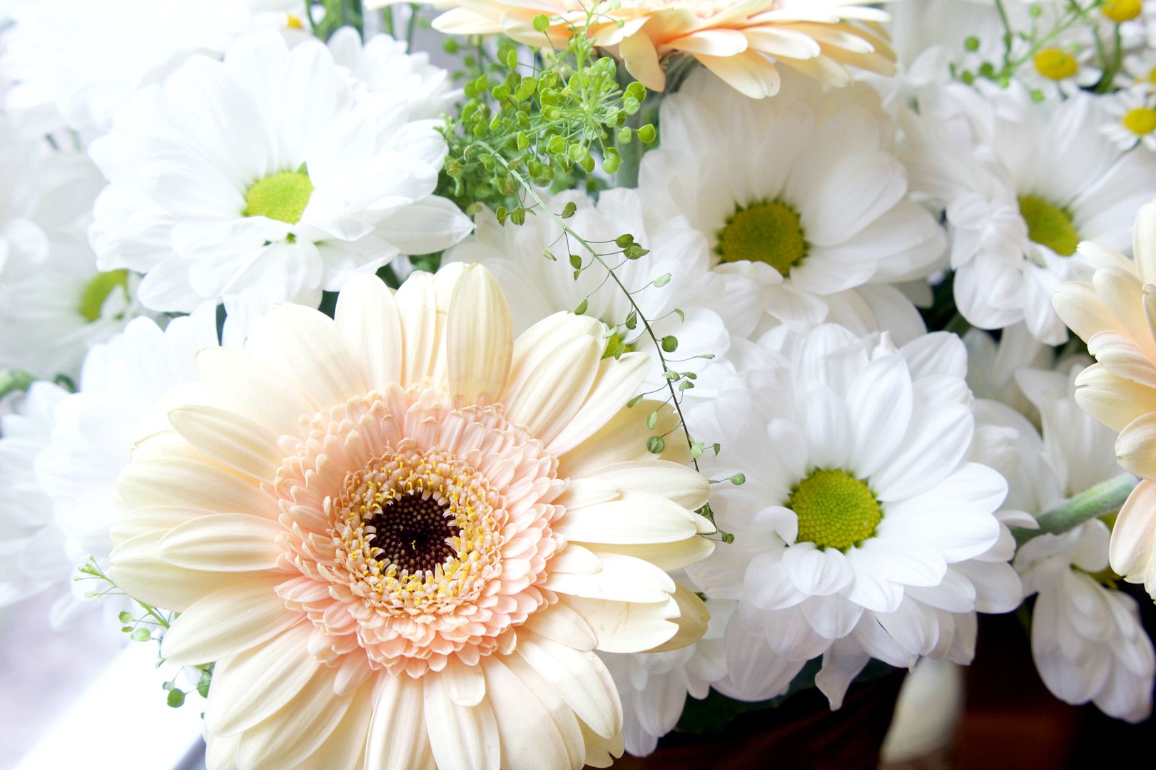 Blossoming Gifts Orangery Bouquet