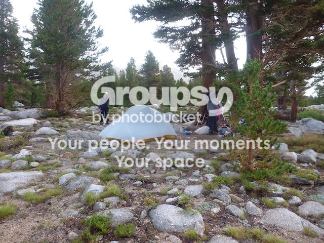  photo P1040538_zps4e9cbb0b.jpg