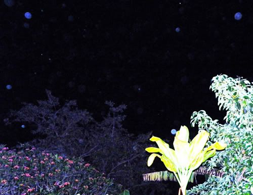 orb 2 may11