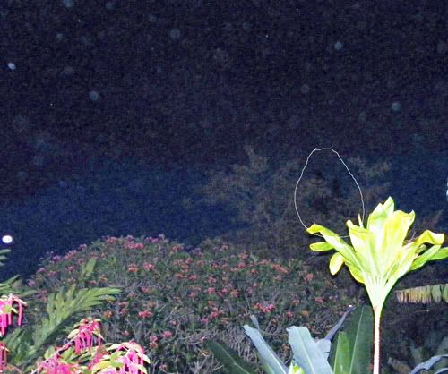 shadows & orbs small