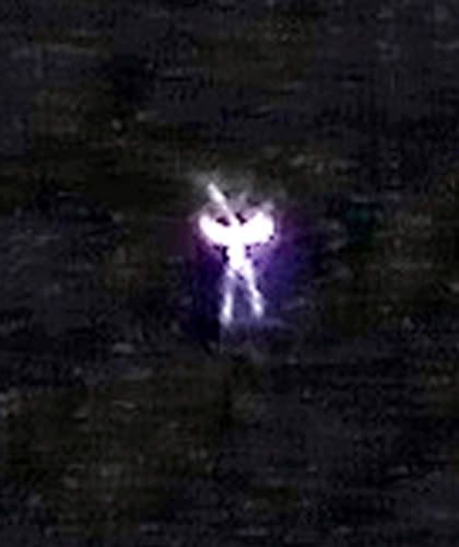 tiny fae